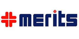 MERITS_USA