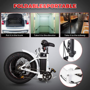 ECOTRIC The Dolphin Portable and Folding Fat Electric Bike