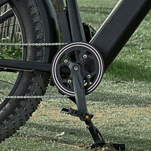 Dirwin Pioneer Step-thru Fat Tire Electric Bike High Quality Crankset