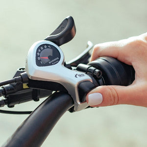 Dirwin Pioneer Step-thru Fat Tire Electric Bike Shimano 7 Speed Gear System