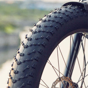 Dirwin Seeker Step thru Fat Tire Electric Bike Waterprooft fat Tires