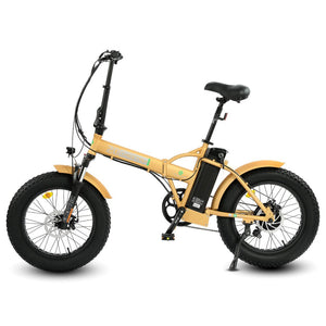 ECOTRIC The Fat 20 48V Portable and Folding Electric Bike