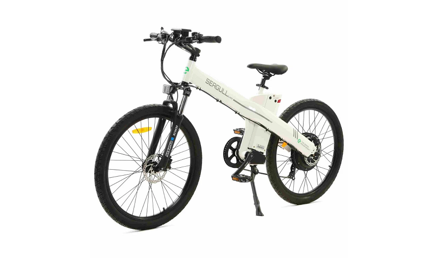 Ecotric seagull store