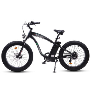 ECOTRIC Hammer Electric Fat Tire Beach Snow Bike