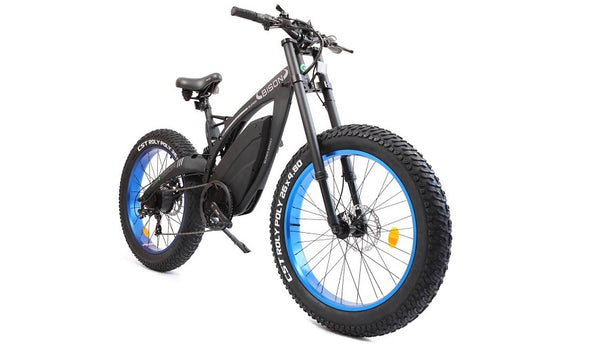 The ecotric fat tire store electric bike