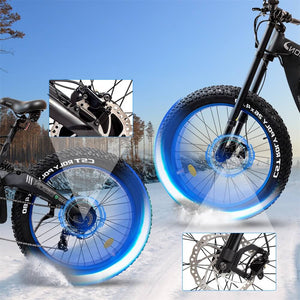 ECOTRIC Big Fat Tire Electric Bike Bison