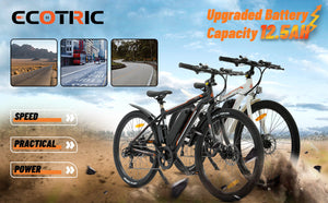 ECOTRIC Vortex Electric City Bike