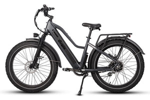 Dirwin Pioneer Step-thru Fat Tire Electric Bike Left Side