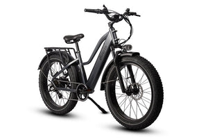 Dirwin Pioneer Step-thru Fat Tire Electric Bike Right Angle