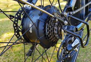 Dirwin Seeker Fat Tire Electric Bike High Performance Motor