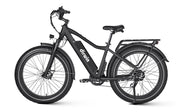 Dirwin Seeker Fat Tire Electric Bike Left Side