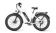 Dirwin Seeker Step thru Fat Tire Electric Bike Left Side