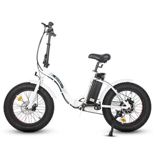Electric Bikes - ECOTRIC The Dolphin Portable And Folding Fat Electric Bike