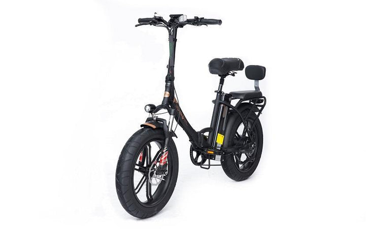 2021 electric bicycle GreenBike City PATH Electric Bike 2021 Edition