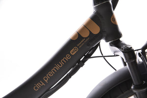 Electric Bikes - GreenBike City Premium Electric Bike 2021