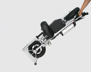 Glion Balto X2 Electric Scooter